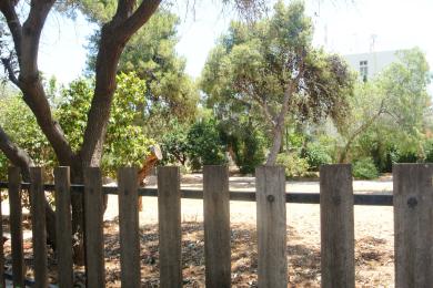 ΓΛΥΦΑΔΑ - ΓΛΥΦΑΔΑ ΑΝΩ, Οικόπεδο, Πώληση, 538 τ.μ