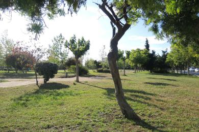 AGIA MARINA - AGIA MARINA, Land, Sale, 1350 sq.m