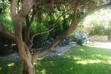 ΓΛΥΦΑΔΑ - ΓΚΟΛΦ, Οικόπεδο, Πώληση, 609 τ.μ